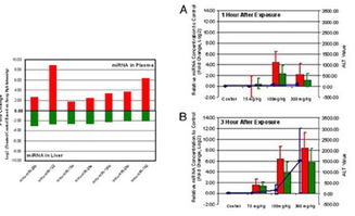 上海伯豪生物技術(shù) SBC miRNA芯片服務(wù)促銷(xiāo)行動(dòng)，專(zhuān)業(yè)實(shí)驗(yàn)技術(shù)服務(wù)助您科研加速